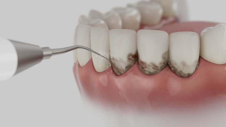Reliable Dental contractor in Navassa, NC by Dentist Open Now
